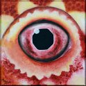 Augenblick einer Bartagame Acryl auf Leinwand;
30 x 30 cm